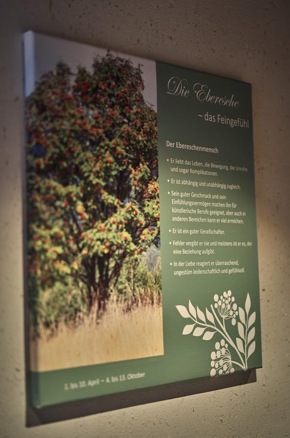 Zedernhof Gesundheits- & Wellnesshotel Stamsried Eksteriør bilde